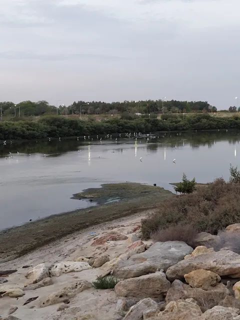 القناة المائية