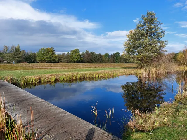 Goois Natuurreservaat Zanderij Cruysbergen