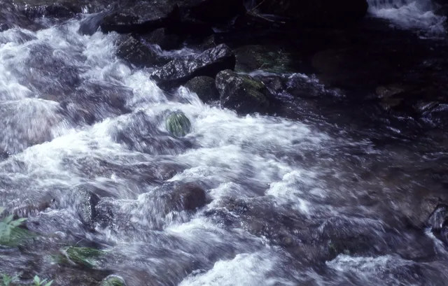 Yoshino Historical Museum