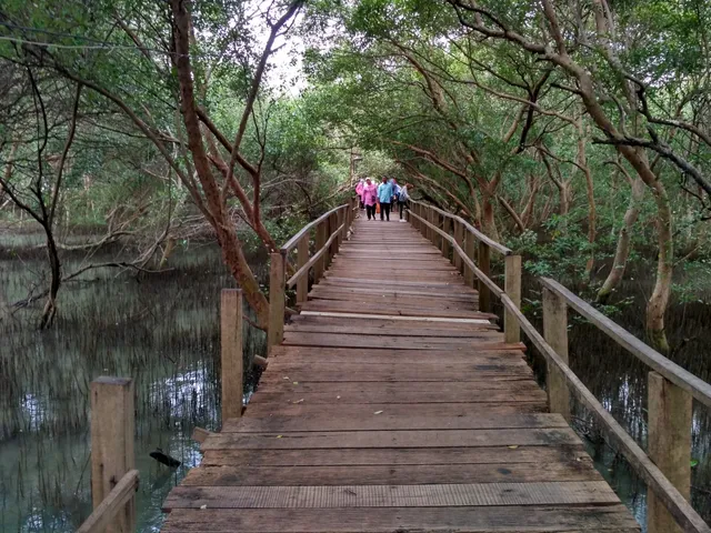 Taman Mangrove Morosari Demak