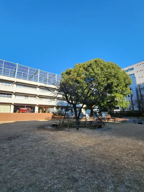 Chiyoda Kuritsu Rensei Park