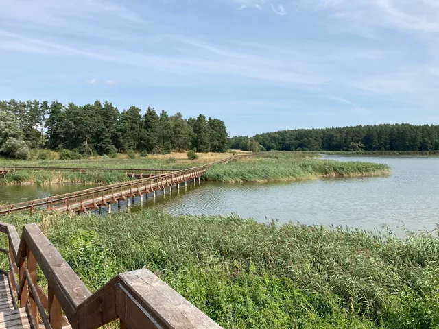 Ścieżka edukacyjna-Piecki