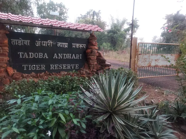 Zari Gate(Core Zone)