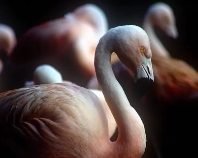 BREC's Baton Rouge Zoo