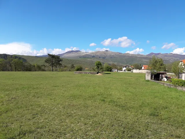 Trg mlikarice Dražice