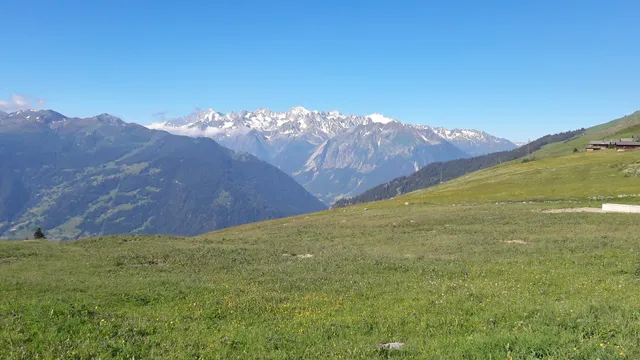 photo-3