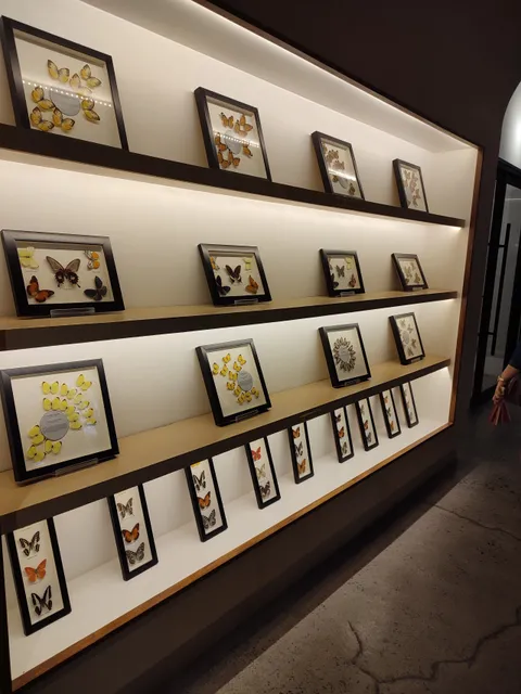 The Butterfly Garden