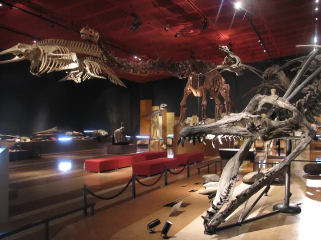 Iwaki City Coal & Fossil Museum (Horuru)