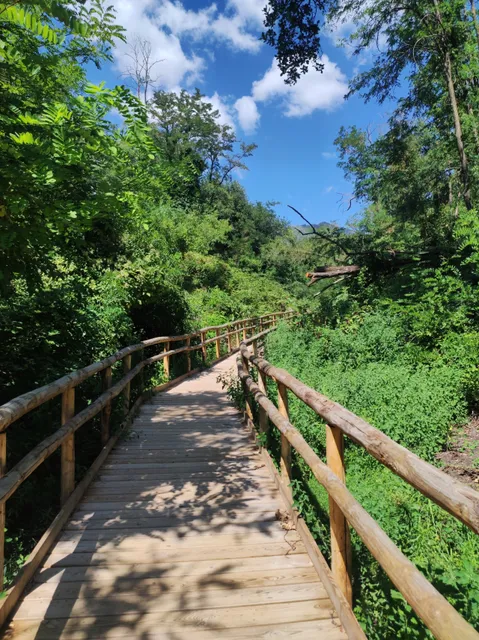 Pinar de Terzigno - Sendero N11