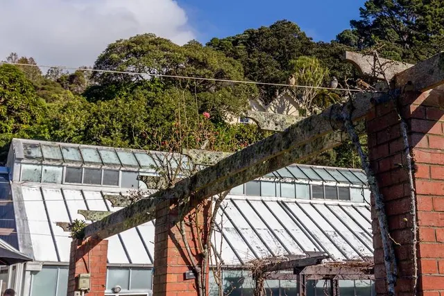 Lady Norwood Rose Garden