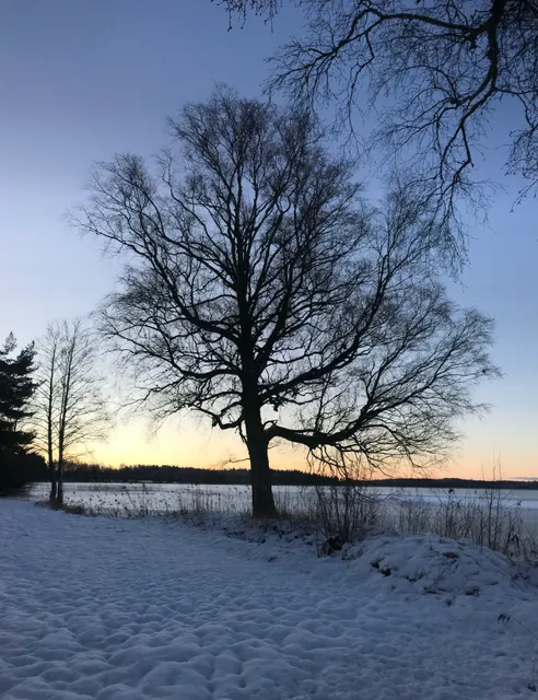 Sixtorp naturreservat