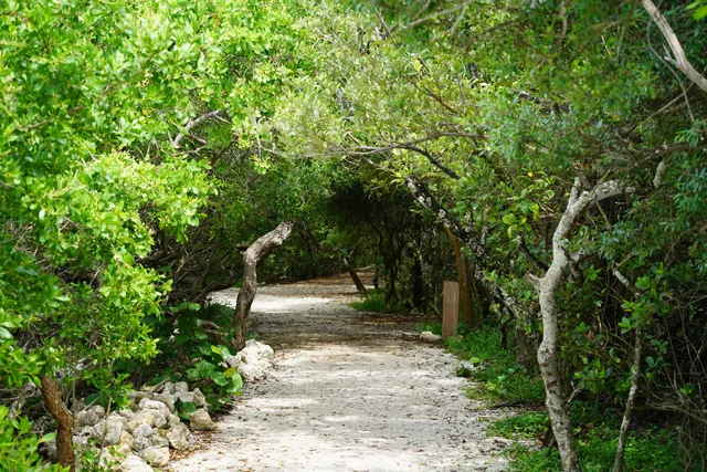 Riverview Pointe Preserve