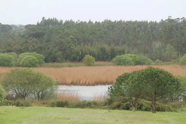 Reserva Natural Local do Paul de Tornada