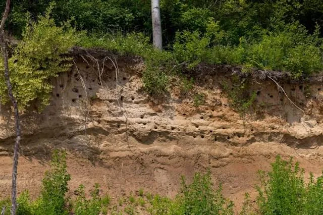 Erlebnissteinbruch Hainholz