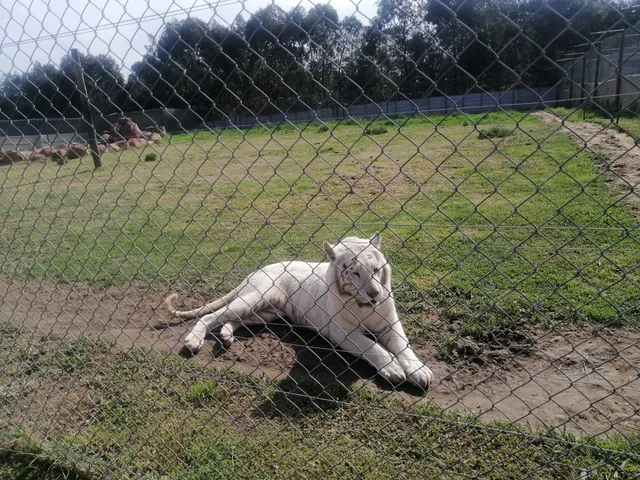 George Wildlife Park