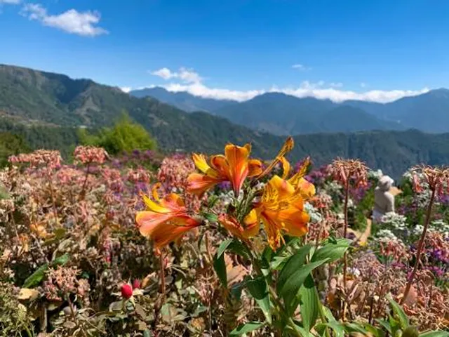 Upper Agno River Basin