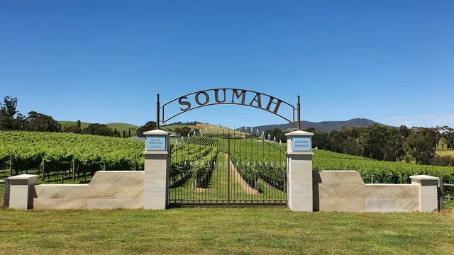 Soumah of Yarra Valley