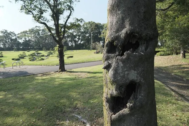 Yoshino Park Kagoshima