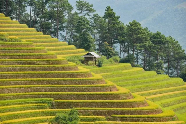 Prince and Skyline Museum