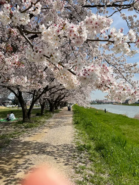 Ushijimafurukawa Park