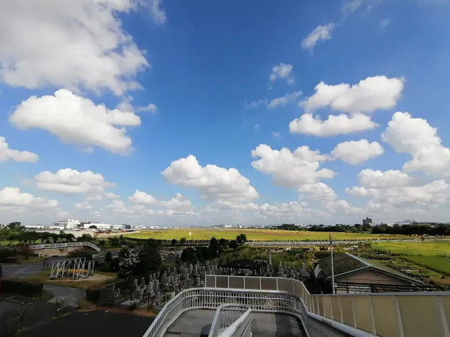 Air Front Oasis Park