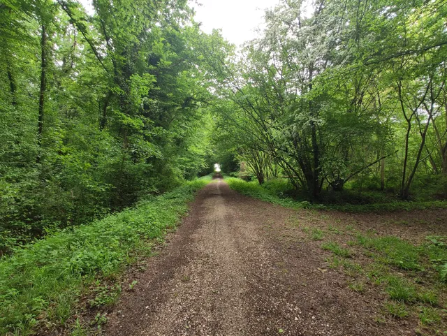 Muzzana del Turgnano