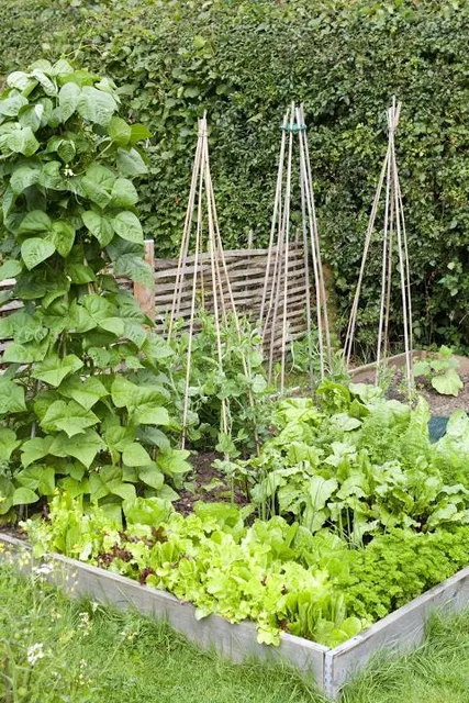 English landscape garden of Collette