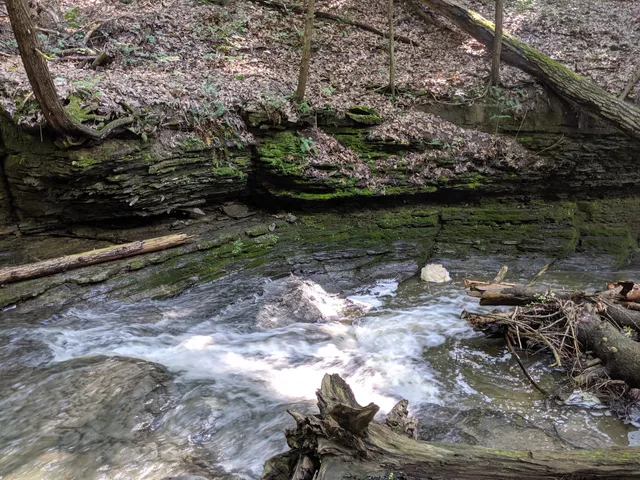 Sweedler and Thayer Preserves