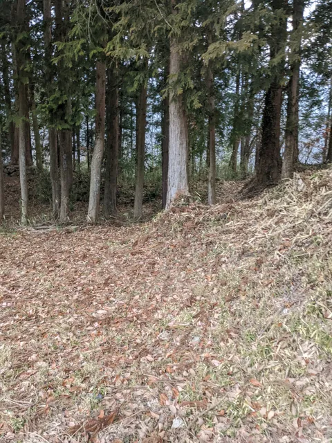 Sakurabora Castle Ruins