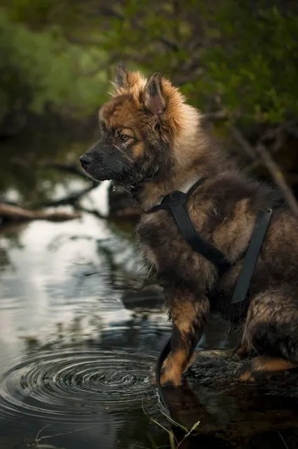 Trok Nong Water Fall