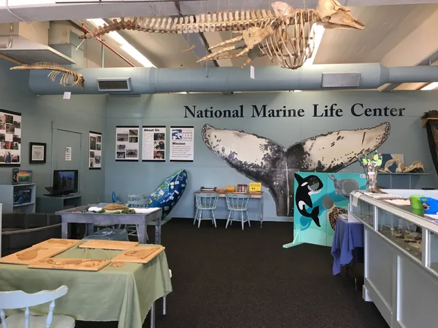 National Marine Life Center