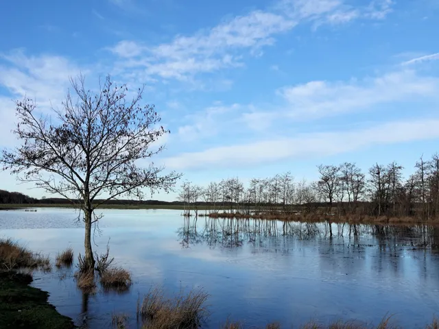 Vroongronden Renesse