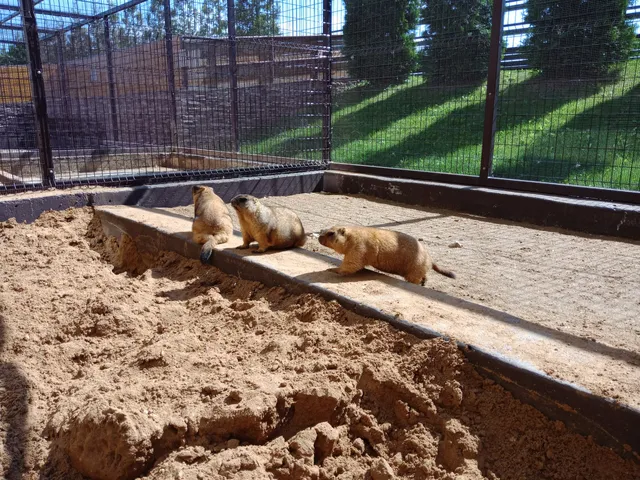 Зоосад в Падиково