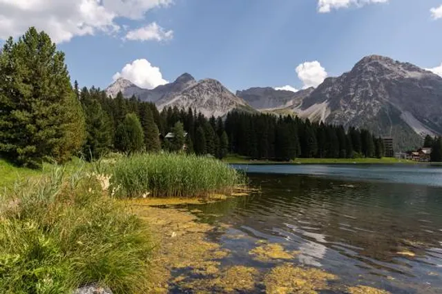 Eichhörnliweg Arosa