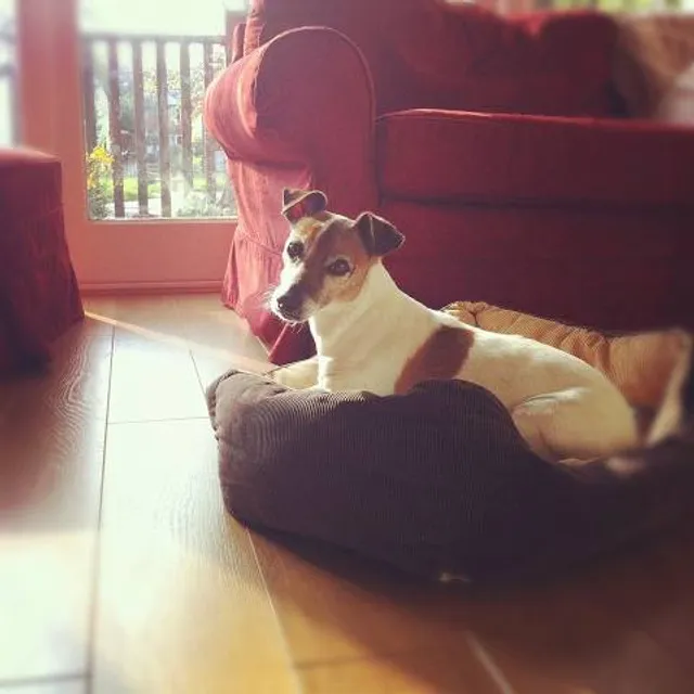 Jacksonville's "Hands On" Children's Museum