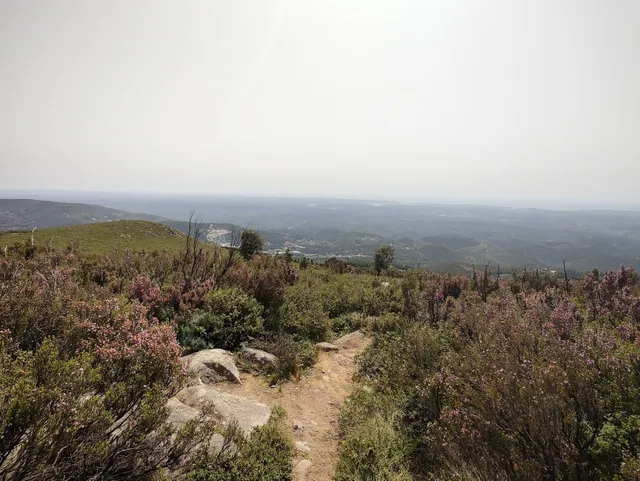 Alto da Foia Algarve