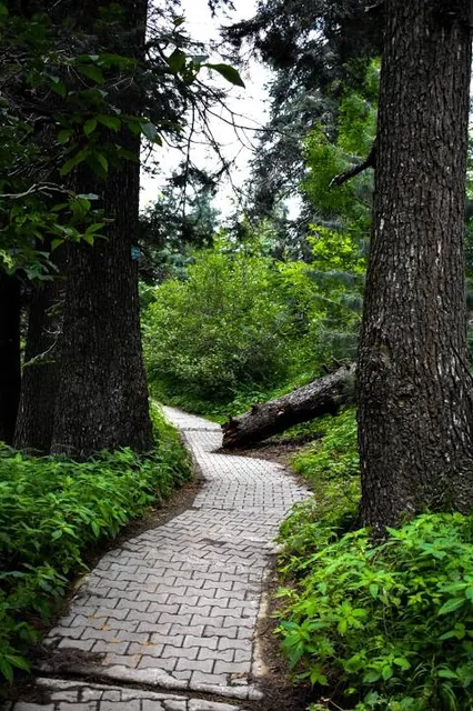 Lalazar Wildlife Park