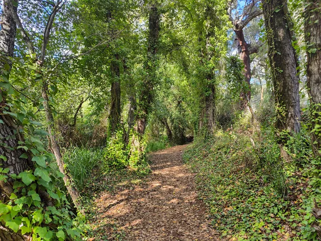 Bosque de las Letras