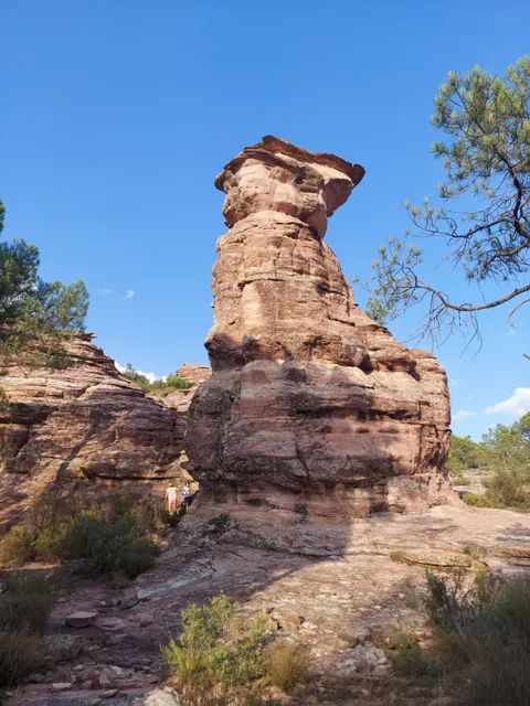 Las Corbeteras de Pajaroncillo