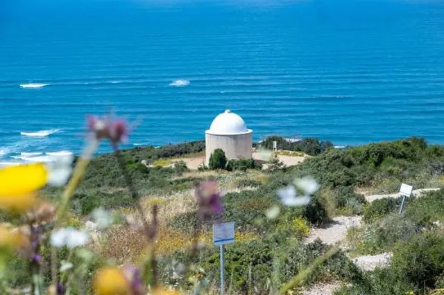 photo-2
