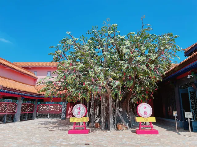 Bodhi Tree