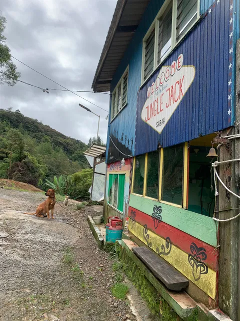 Jungle Jack's Backpackers