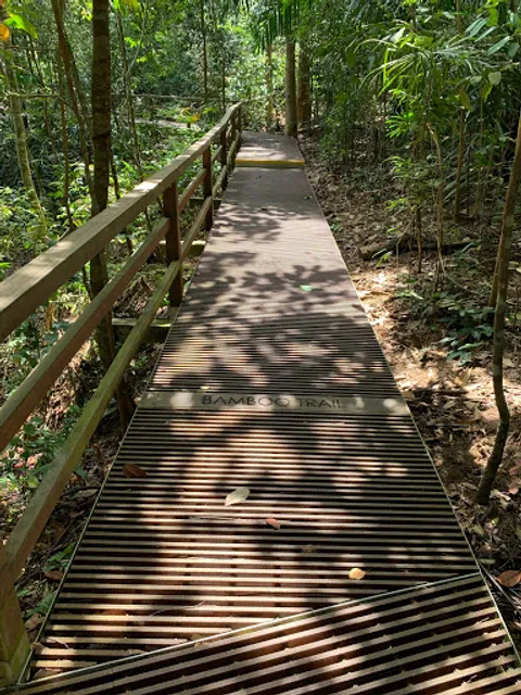 Lower Peirce Trail - Jacaranda Entrance