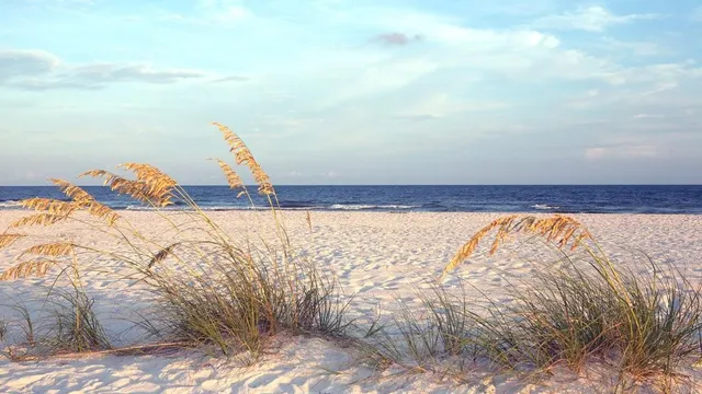 Paradise Gulf Properties