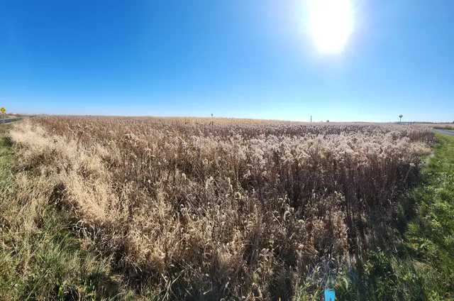 Prairie Bluff Preserve