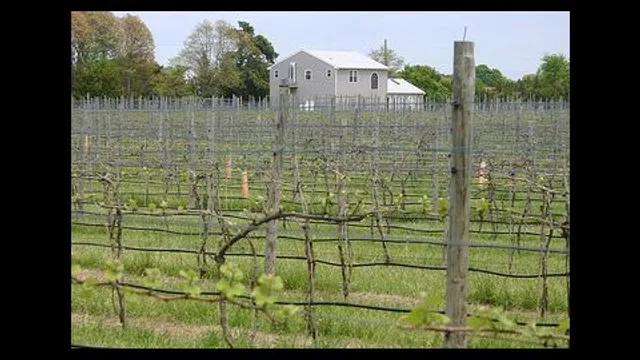 Natali Vineyards