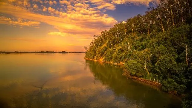 Clam Bayou Nature Park
