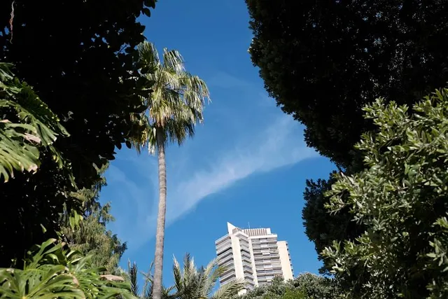 Jardins de la Petite Afrique