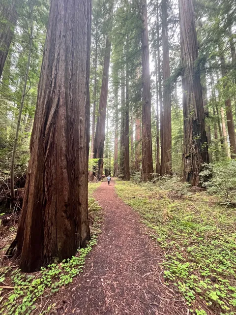 Bull Creek Flats Trailhead