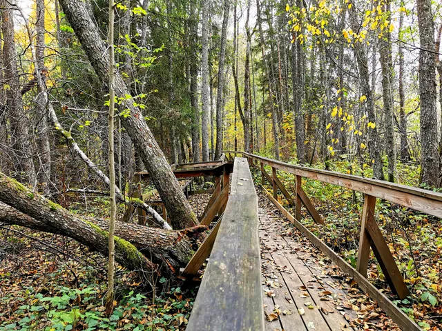 Illharjens Naturreservat